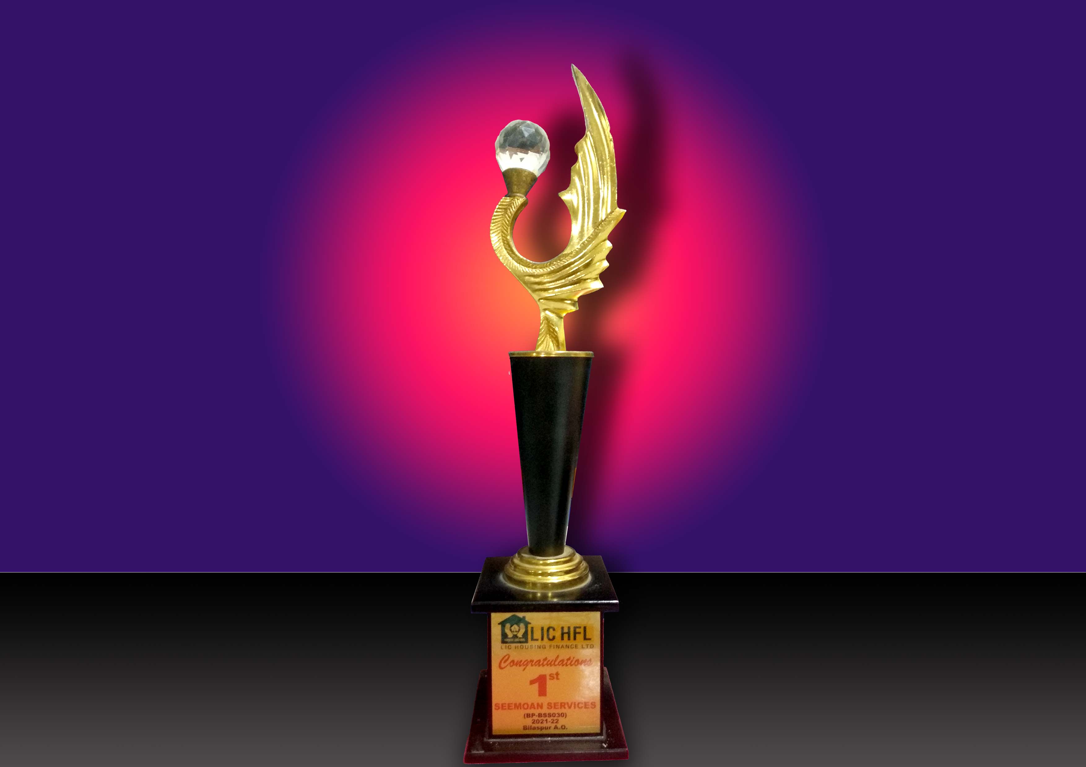 1st (BP-BSS030) 2021-2022 Bilaspur A.O. From LIC HFL